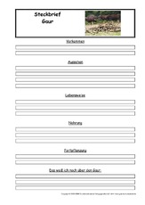 Gaur-Steckbriefvorlage.pdf
